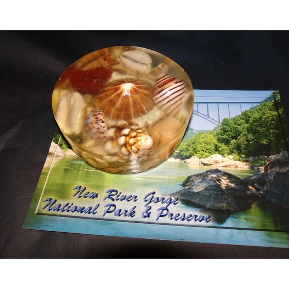 Vintage Handmade Seashell Resin Paperweight ocean theme beach office tikiroom - Picture 8 of 13